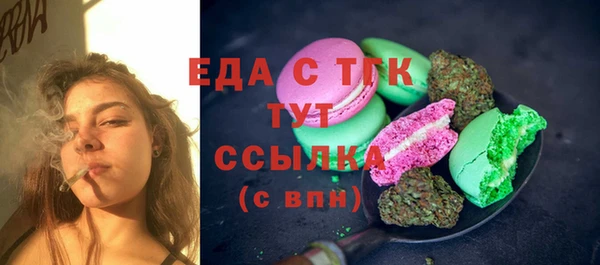 шишки Арсеньев