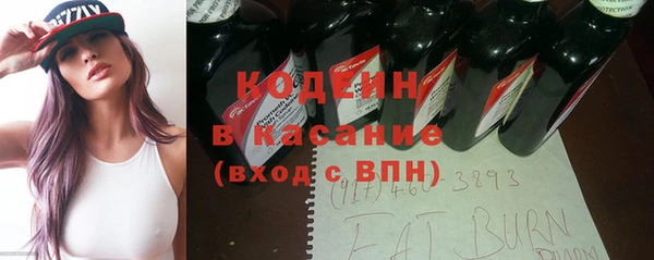 шишки Арсеньев