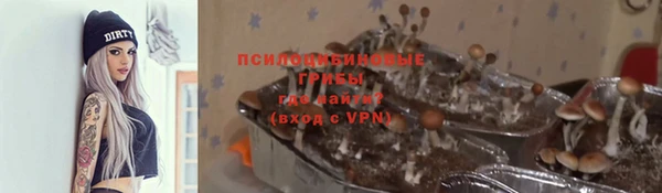не бодяженный Аркадак