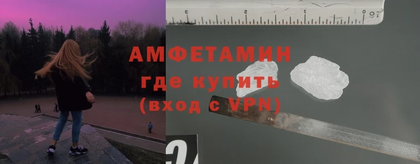шишки Арсеньев