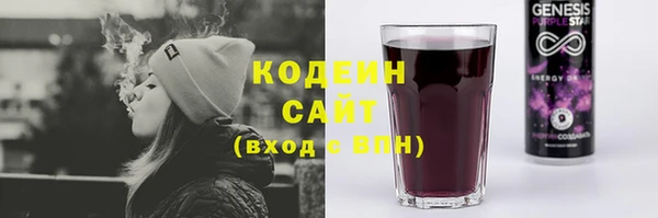 шишки Арсеньев