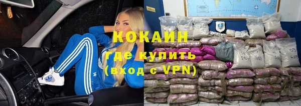 шишки Арсеньев